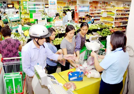 Mua hàng bình ổn giá tại Co.opMart. Ảnh: ĐỨC TRÍ Mua hàng bình ổn giá tại Co.opMart. Ảnh: ĐỨC TRÍ