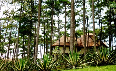 Trao giải nhất “ngôi nhà nhiệt đới” cho resort Ana Mandara Dalat