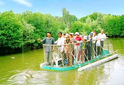 Visitors enjoy fishing crocodile in Can Gio (Photo: SGGP) Visitors enjoy fishing crocodile in Can Gio (Photo: SGGP)