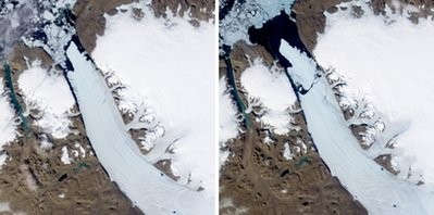 This combination of two satellite images provided by NASA and taken on July 28, 2010, at left, and Aug. 5, 2010, at right, shows the Petermann Glacier in Northern Greenland This combination of two satellite images provided by NASA and taken on July 28, 2010, at left, and Aug. 5, 2010, at right, shows the Petermann Glacier in Northern Greenland