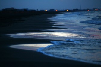 The sun rises over the beach August 13, 2010 in Grand Isle, Louisiana. AFP The sun rises over the beach August 13, 2010 in Grand Isle, Louisiana. AFP