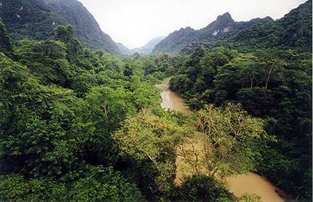 A view of Phong Nha Ke Bang National Park A view of Phong Nha Ke Bang National Park
