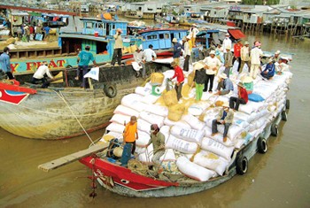 A boat of rice bags purchased by traders in the Mekong Delta (Photo: SGGP) A boat of rice bags purchased by traders in the Mekong Delta (Photo: SGGP)