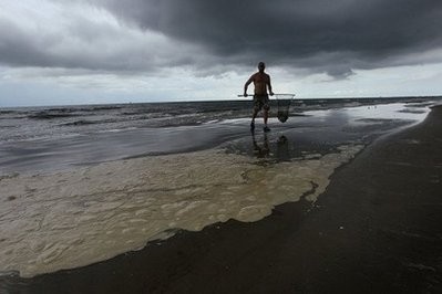 A man wades in from the ocean near a pool of dispersed oil after pulling crabs from a line on a recently reopened public beach August 11 in Grand Isle, Louisiana. A man wades in from the ocean near a pool of dispersed oil after pulling crabs from a line on a recently reopened public beach August 11 in Grand Isle, Louisiana.