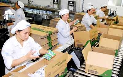Workers of Thogn Nhat Milk Company are packaging dairy products. Thong Nhat Milk Company has won the Green Enterprise Award (Photo: SGGP) Workers of Thogn Nhat Milk Company are packaging dairy products. Thong Nhat Milk Company has won the Green Enterprise Award (Photo: SGGP)