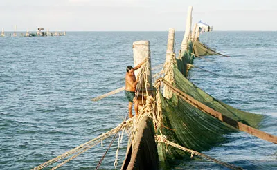 Kiếm sống trên đầu bọt nước