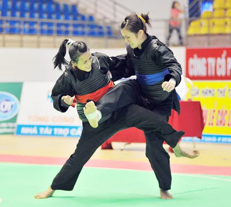 Kết thúc giải pencak silat vô địch Đông Nam Á lần 3-2010: Việt Nam bảo vệ thành công ngôi vô địch