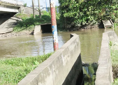 Cống nước thải của KCN Trà Nóc 1 và Trà Nóc 2 đổ trực tiếp ra 2 bên bờ rạch Sang Trắng. Ảnh: T.M.T. Cống nước thải của KCN Trà Nóc 1 và Trà Nóc 2 đổ trực tiếp ra 2 bên bờ rạch Sang Trắng. Ảnh: T.M.T.