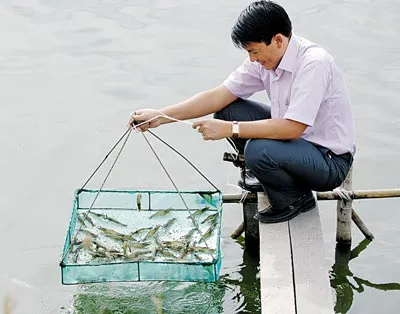 Thích thú với tour tôm. Thích thú với tour tôm.