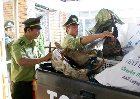 Sáng nay, Đà Lạt đồng loạt “tập kích” nhà hàng thịt rừng