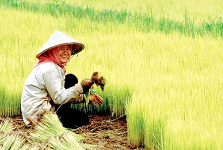 Việt Nam và vị thế mới trên trường quốc tế