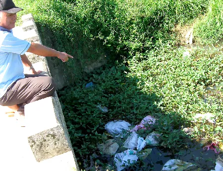 Lao đao vựa heo Hoài Ân