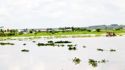 Lợi bất cập hại