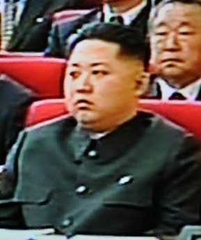 South Korea's Internet community seems to have just one question about Kim Jong-Un (pictured in this recent KCTV image grab) South Korea's Internet community seems to have just one question about Kim Jong-Un (pictured in this recent KCTV image grab)