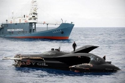 The Sea Shepherd's ship Ady Gil (bottom) after its collision with a Japanese whaling vessel Shonan Maru No. 2 in Antarctic waters in January 2010. The Sea Shepherd's ship Ady Gil (bottom) after its collision with a Japanese whaling vessel Shonan Maru No. 2 in Antarctic waters in January 2010.