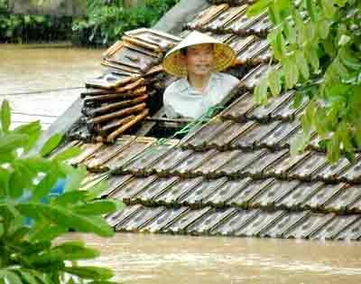 A resident in Son Trach commune must dismantle the roof to call for help as flood inundates his house (Photo: SGGP) A resident in Son Trach commune must dismantle the roof to call for help as flood inundates his house (Photo: SGGP)