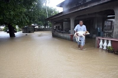 A resident carries his dog while wading through floodwaters as super Typhoon Megi, known locally as Juan, hits Cabangan City, Isabela province, northern Philippines October 18, 2010. A resident carries his dog while wading through floodwaters as super Typhoon Megi, known locally as Juan, hits Cabangan City, Isabela province, northern Philippines October 18, 2010.