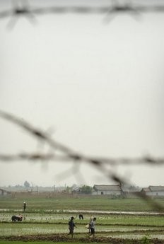 File photo of North Korean workers in a field behind a barbed-wire fence which separates China and North Korea. File photo of North Korean workers in a field behind a barbed-wire fence which separates China and North Korea.