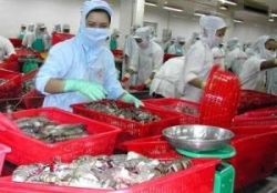 Vietnam’s export turnover is estimated to reach US$6.25 billion in October. Vietnam’s export turnover is estimated to reach US$6.25 billion in October.