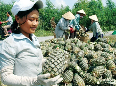 Tạo động lực mới cho nông dân