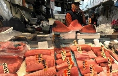 AFP file - Tuna fillets are seen here on display at a fish shop in Tokyo's Tsukiji fish market. AFP file - Tuna fillets are seen here on display at a fish shop in Tokyo's Tsukiji fish market.