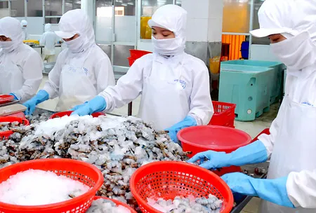 Dư lượng kháng sinh Trifluralin ở tôm: Nước đã đến... chân!