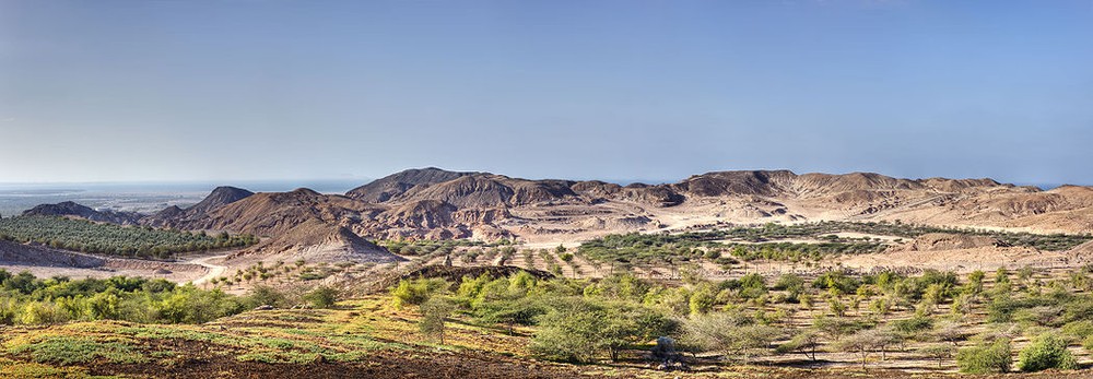 Sir Bani Yas Islands Sir Bani Yas Islands