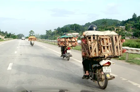 Nóng bỏng buôn lậu vùng biên cuối năm ảnh 4 Nóng bỏng buôn lậu vùng biên cuối năm ảnh 4