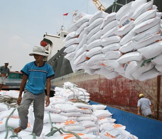 Loading rice for export in the Mekong Delta region