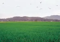 Ảnh: Xuân Hạnh Ảnh: Xuân Hạnh