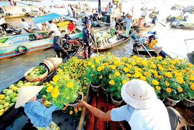 Văn minh đất Cái Răng