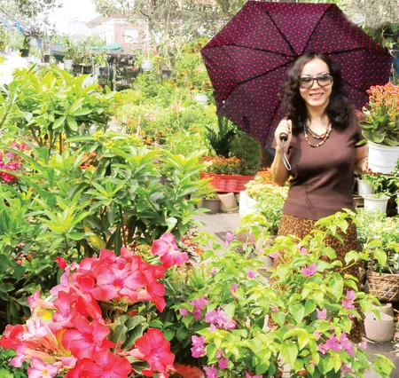 Tham quan hoa tết Tham quan hoa tết
