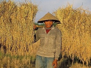 Laos farmer Laos farmer