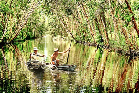 Sinh hoạt của cư dân rừng tràm U Minh Hạ. Sinh hoạt của cư dân rừng tràm U Minh Hạ.