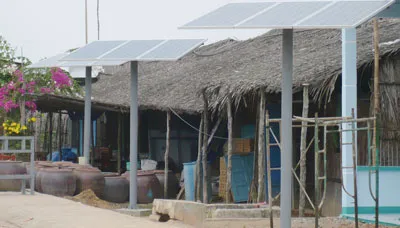 Ánh sáng xuân