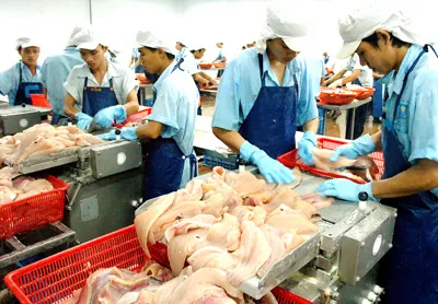 Phát triển vùng kinh tế trọng điểm phía Nam: Cần sự hợp tác đầu tư đồng bộ