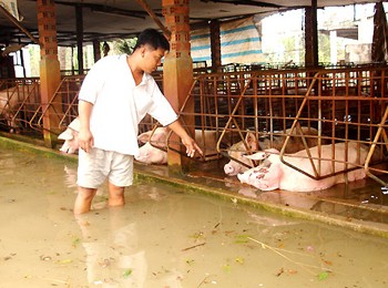 High tide causes flooding in Thanh Xuan Ward, District 12 (Photo: VnExpress) High tide causes flooding in Thanh Xuan Ward, District 12 (Photo: VnExpress)