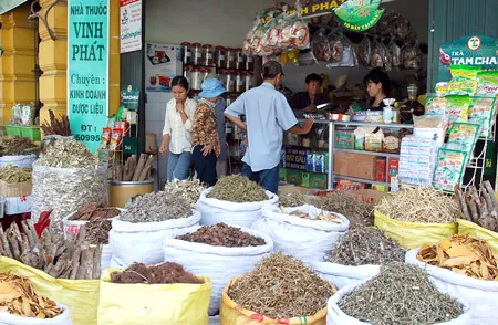 Một điểm bán đông dược trên đường Hải Thượng Lãn Ông quận 5. Ảnh: Mai Hải Một điểm bán đông dược trên đường Hải Thượng Lãn Ông quận 5. Ảnh: Mai Hải