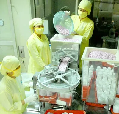 Sản xuất thuốc tại Việt Nam luôn thiếu nguyên liệu đầu vào, dù nguồn tài nguyên rất phong phú. Ảnh: Kim Ngân Sản xuất thuốc tại Việt Nam luôn thiếu nguyên liệu đầu vào, dù nguồn tài nguyên rất phong phú. Ảnh: Kim Ngân