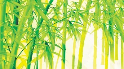 Muốn làm cây tre… trung hiếu chốn này!