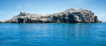 Nhan Island Nhan Island
