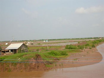 A waste shrimp farm due to dead shrimps in Vinh Chau District, Soc Trang Province (Photo: QĐND) A waste shrimp farm due to dead shrimps in Vinh Chau District, Soc Trang Province (Photo: QĐND)