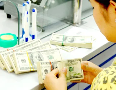 Chọn cơ chế tỷ giá linh hoạt để ổn định kinh tế vĩ mô