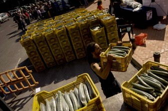 A man unloads cucumbers to be distributed free by members of the gay community in Torremolinos, near Malaga, Spain on June 3, 2011 after officials in Hamburg blamed Spanish cucumbers for the spread of the enterohaemorrhagic E. coli. A man unloads cucumbers to be distributed free by members of the gay community in Torremolinos, near Malaga, Spain on June 3, 2011 after officials in Hamburg blamed Spanish cucumbers for the spread of the enterohaemorrhagic E. coli.