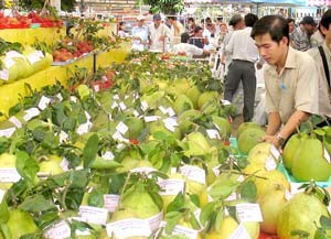 Saigon Giai Phong file photo of Mekong Delta pomelo on sale in the delta region Saigon Giai Phong file photo of Mekong Delta pomelo on sale in the delta region