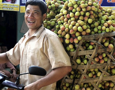 A happy farmer with his bumper litchi crop A happy farmer with his bumper litchi crop