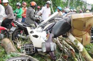 Tornado felled a giant tree on three motorcycles parked in the Mekong Delta town of Soc Trang (Photo: Tuoi Tre) Tornado felled a giant tree on three motorcycles parked in the Mekong Delta town of Soc Trang (Photo: Tuoi Tre)