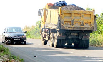 The broadened roads now facilitate truck traffic in the Son Tra Natural Reserve, affecting the flora and fauna (Photo: SGGP) The broadened roads now facilitate truck traffic in the Son Tra Natural Reserve, affecting the flora and fauna (Photo: SGGP)