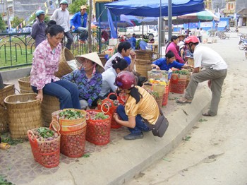 Plum for sales on market-days Plum for sales on market-days