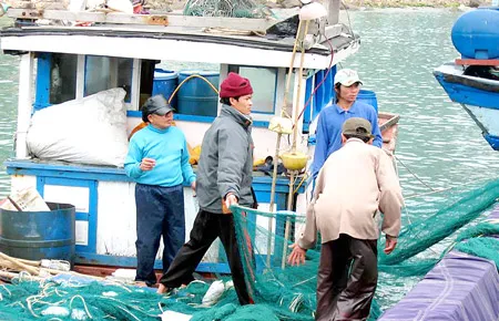 Những tổ tàu cá đoàn kết ở đảo Phú Quý chuẩn bị ra khơi. Ảnh: VĂN NGỌC Những tổ tàu cá đoàn kết ở đảo Phú Quý chuẩn bị ra khơi. Ảnh: VĂN NGỌC